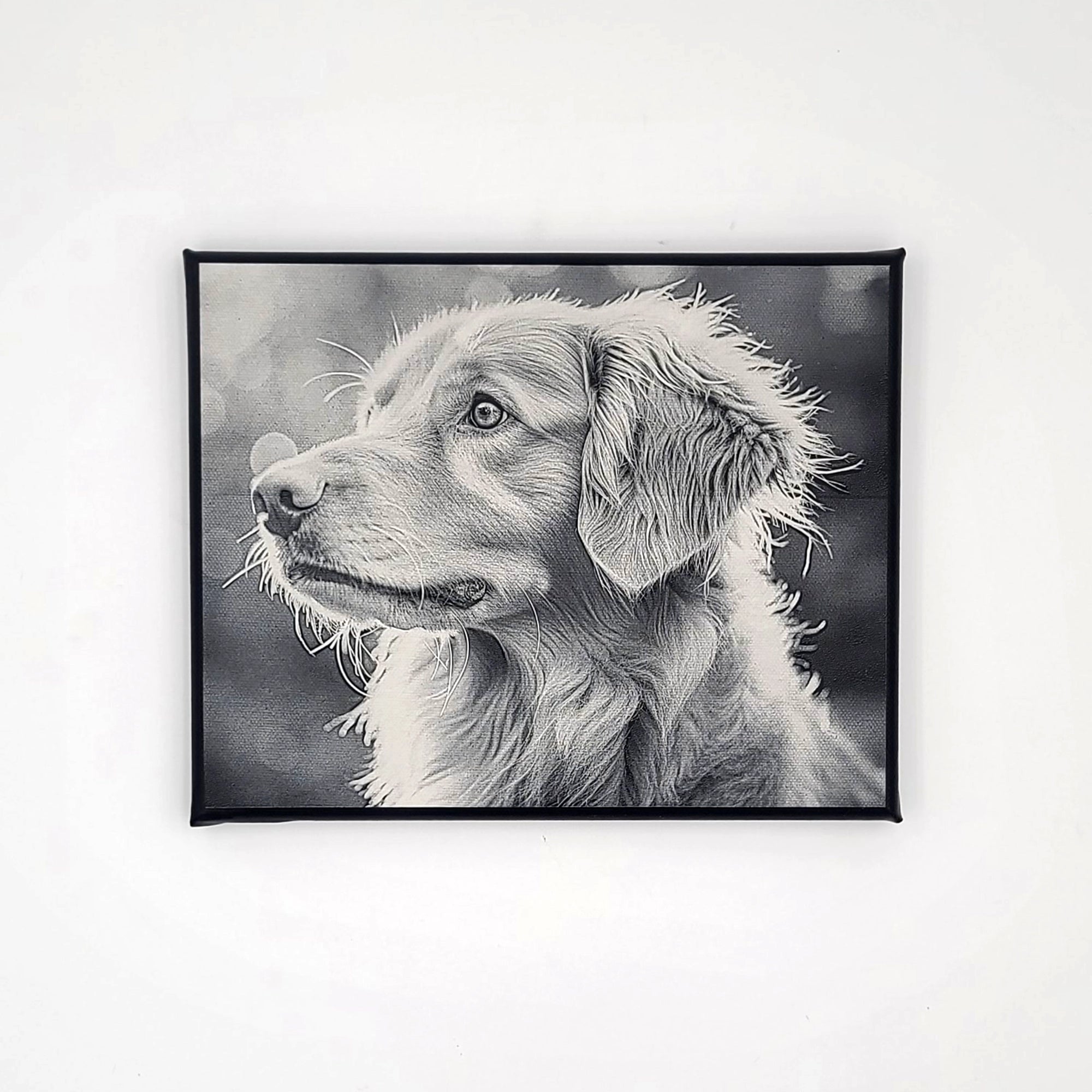 Laser Engraved Cassic Photo Canvas | LC003